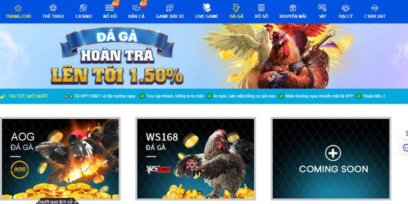 Giới thiệu sảnh CQ9 - Những điểm nổi bật của đấu trường đá gà