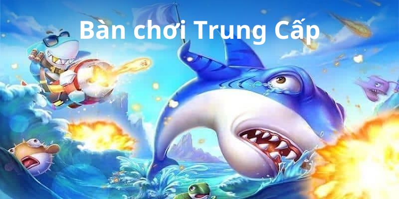 Bàn chơi được nhiều thành viên lựa chọn nhất